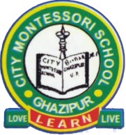 City Montessori School